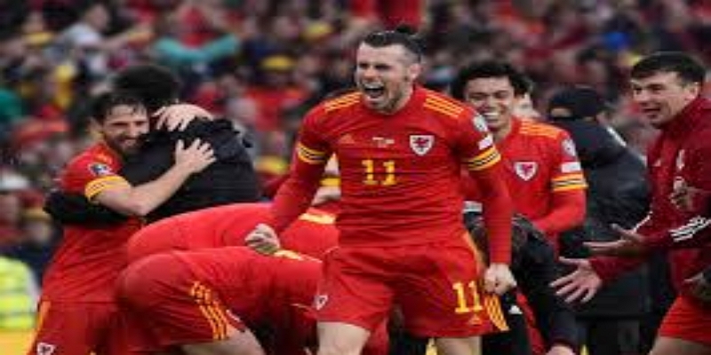 传奇背后的坚持：九游体育深度解析20年生涯秘诀- 九游体育