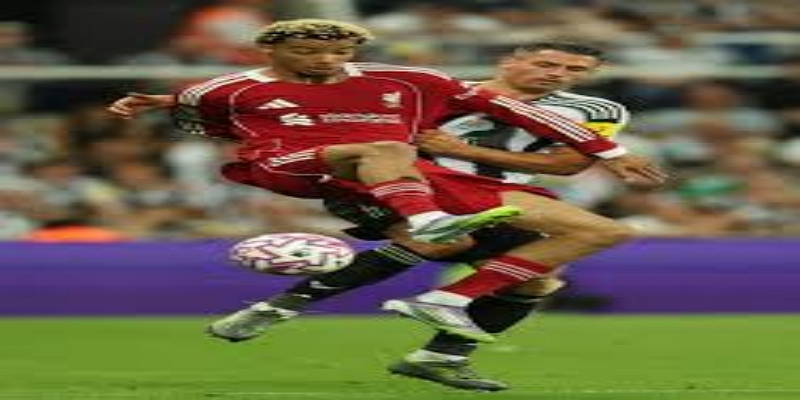 从切尔西青训到圣詹姆斯公园：利夫拉门托的成长轨迹 - 九游体育