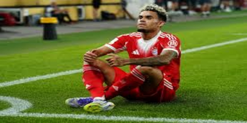 拜仁的转会策略：务实优先于星光- 九游体育